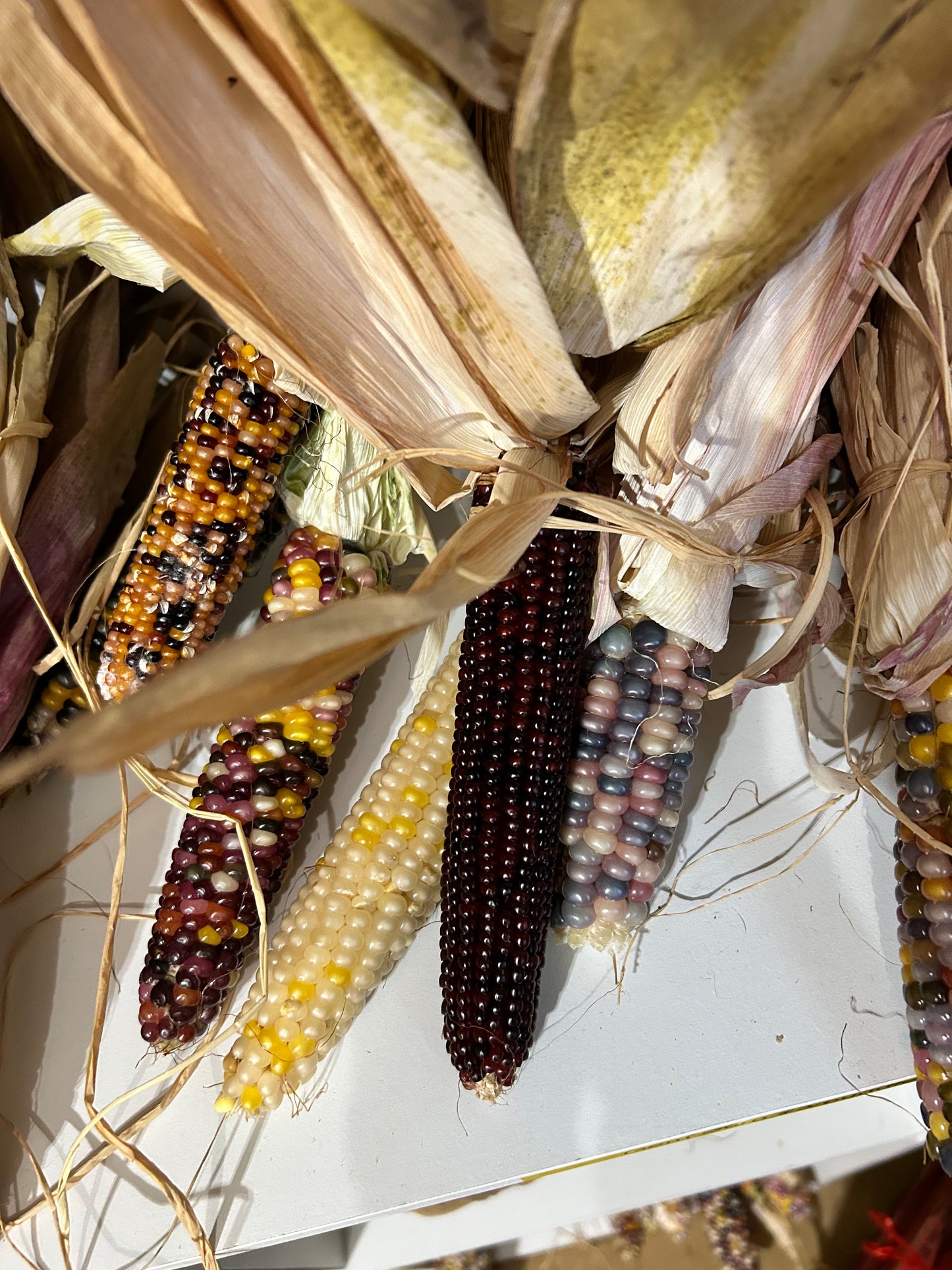 Gem Corn Bundles