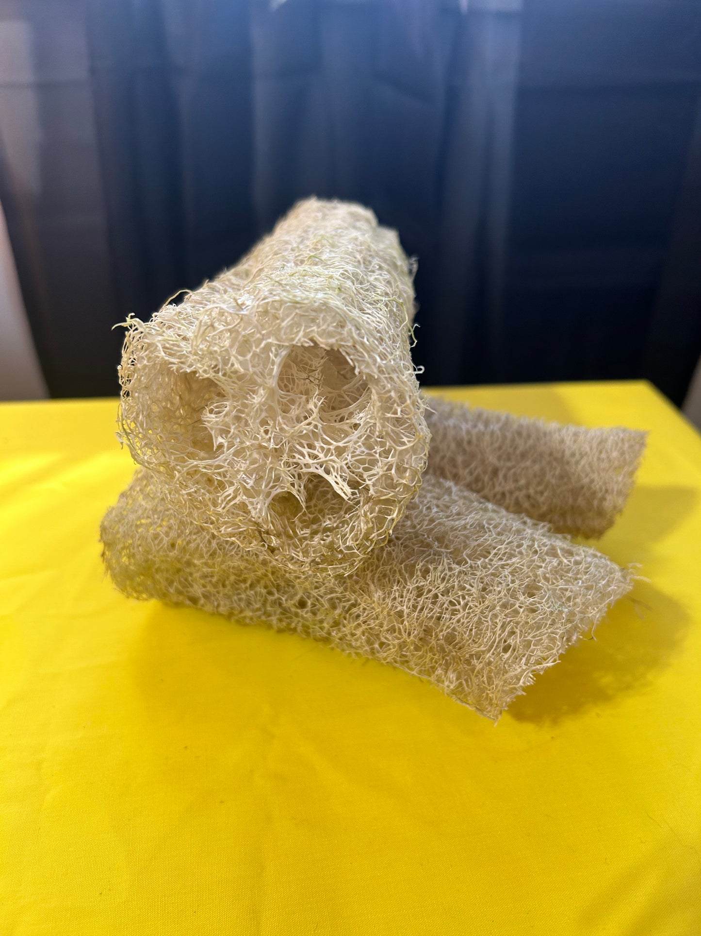 Luffa (Loofah) 6-8”